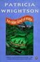 An Older Kind of Magic (Young Puffin Books)