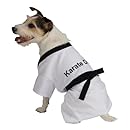 Rubies Costume Rubies Karate Pet Costume, Small