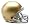 Notre Dame Fighting Irish
