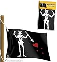 Blackbeard Pirate Flag