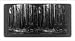 Historic Print (M): Giant eucalyptus of gum trees 400 feet high, Victoria, Australia