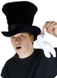 Magician Hat with Rabbit