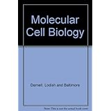 molecular cell biology