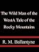The Wild Man of the West A Tale of the Rocky Mountains