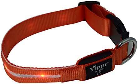 Premium LED Dog Collar By Yippr - USB Rechargeable Led Lighted Dog Collar With 4 Settings - Increase Visibility, Safety Collar, Night Use with Ultra Bright Blinking, Light Up Nylon Flashing Pet Collar