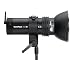 Profoto 502-302 Compact 300R Special (Black)