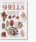  : DK Handbooks: Shells