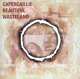 Beautiful Wasteland