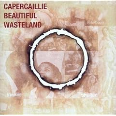 Beautiful Wasteland