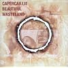 Beautiful Wasteland