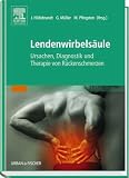 Lendenwirbels&auml;ule - Ursachen, Diagnostik und Therapie von R&uuml;ckenschmerzen - Jan Hildebrandt, Gerd M&uuml;ller, Michael Pfingsten