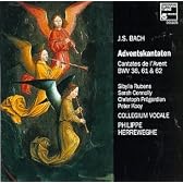 Advent Cantatas