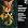Bach: Adventskantaten BWV 36, 61 & 62