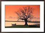 Bare Tree and Boat on Edge of Taungthaman Lake at Sunrise, Amarapura, Mandalay, Myanmar (Burma) Framed Photographic Poster Print by Anders Blomqvist, 29x21
