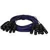 PYLE-PRO PPSN821 - 20 Ft. 8 Channel XLR Male to XLR Female Snake Cable