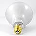 120W 130V BR40 Light Bulb