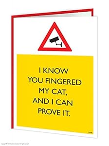 Brainbox Candy Carte d'anniversaire Th&egrave;me chat et cam&eacute;ra de