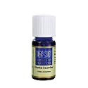 Herbes & Traditions - Sapin baumier (Abies balsamea) bio - Huile essentielle