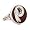 Washington Redskins