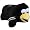 Pittsburgh Penguins