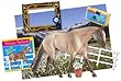 Picture Perfect - Quarter Horse