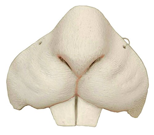 Mouse/Rat Nose