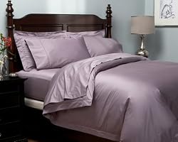 Pinzon Hemstitch 400-Thread-Count Egyptian Cotton Sateen Full/Queen Duvet Set, Plum