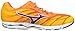 Mizuno Women's Wave Hitogami 3 Running Shoe
