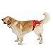 PAWZ Road Pet Recyclable Diaper Dog Sanitary Pantie For Female Dogs in Season and Male Dogs Training Urination and Incontinence Red L