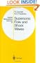 Supersonic Flow and Shock Waves (Applied Mathematical Sciences) (v. 21)