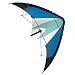 Worlds Apart Flash 170 CX Kite