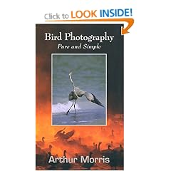 Bird Photography: Pure and Simple
