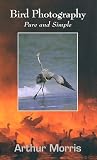 Bird Photography: Pure and Simple