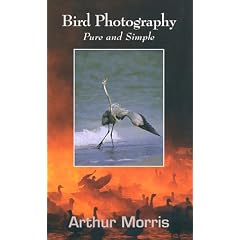 Bird Photography: Pure and Simple