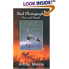 Bird Photography: Pure and Simple