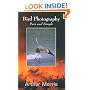 Bird Photography: Pure and Simple