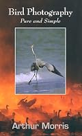 Bird Photography: Pure and Simple
