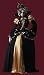 Evil Queen Adult Costume Adult (Standard One-Size)