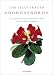 Book The Illustrated Rhododendron: Their Classification Portrayed Through the Artwork of Curtis's Botanical Magazine