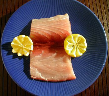 Great Gourmet Fresh Mako Shark (5 lbs.) by Fresh Mako Shark