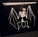 C & A Scientific Skeleton, Bat (Model#51010)