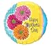 Search : Happy Mother's Day Zinnias