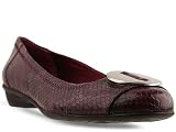 Enzo Angiolini Guest