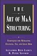 The Art of M&A Structuring: Techniques for Mitigating Financial, Tax, and Legal Risk