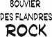 Bouvier Des Flandres Rock Youth Long Sleeve T-Shirt for boys or girls
