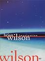 Brian Wilson - Imagination