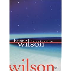 Brian Wilson - Imagination