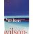 Brian Wilson - Imagination