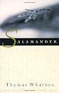 Salamander