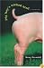 Pig Boy's Wicked Bird: A Memoir